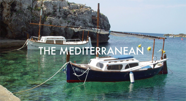 THE MEDITERRANEAN